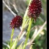 20050716_049